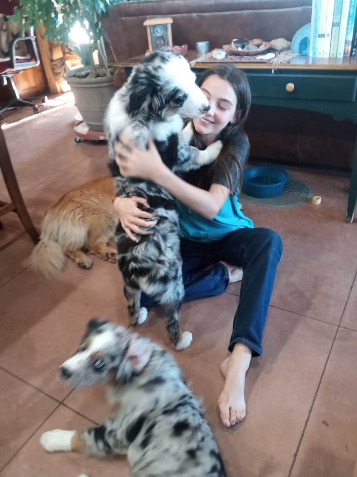 summer-2025-kim-puppies